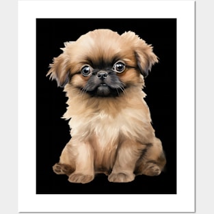 Puppy Pekingese Posters and Art